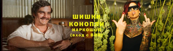 spice Алзамай