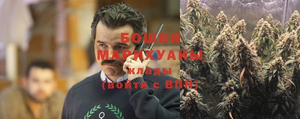 spice Алзамай