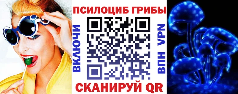 продажа наркотиков  mega ССЫЛКА  Галлюциногенные грибы мухоморы  Феодосия 