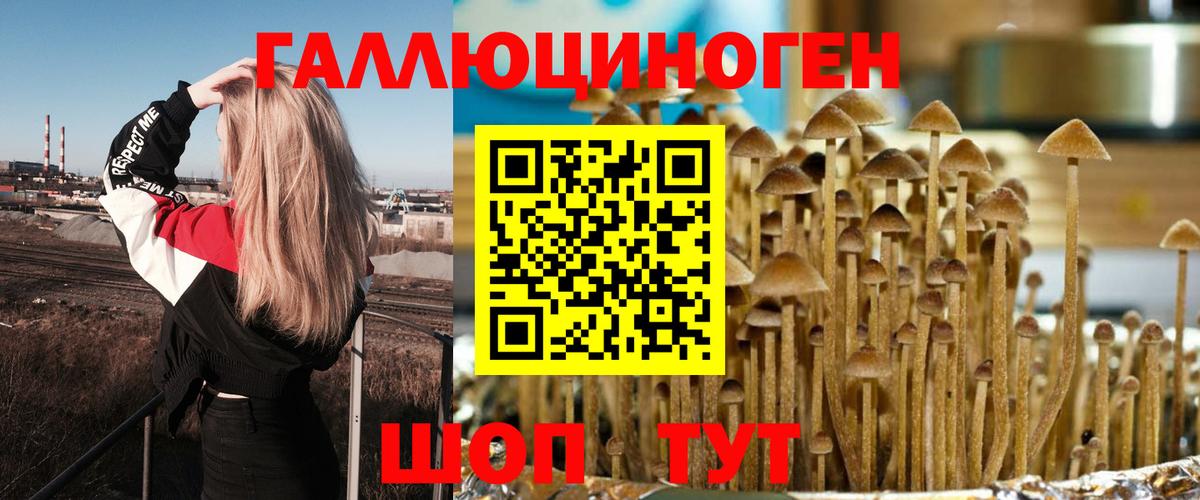 Псилоцибиновые грибы GOLDEN TEACHER  Псилоцибиновые грибы мицелий  Вход с VPN  Феодосия 